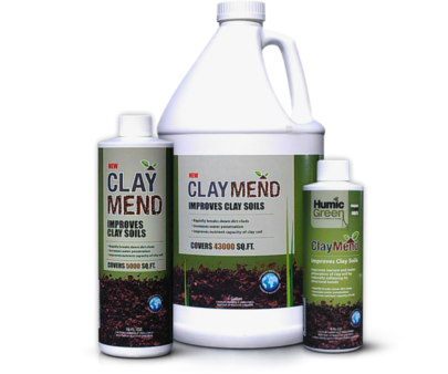 fall-savings-claymend