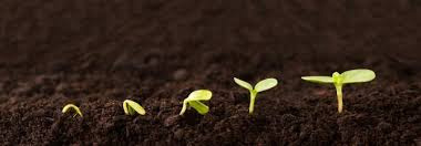 Soil Amendment Soil Amendment