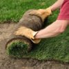 Laying Sod